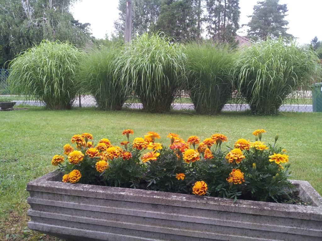Hajas Família Kiadó Szobák Balatonmariafurdo Exterior foto